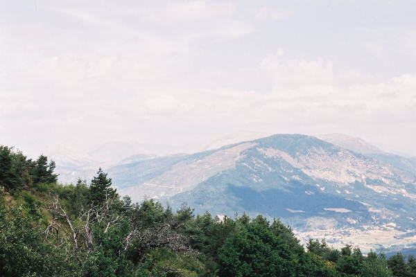 courchons3.jpg